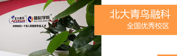 北大青鸟最大校区
