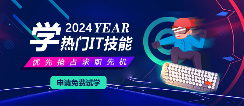 2024学热门IT技能