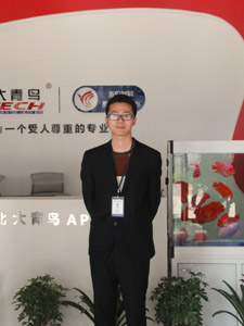 洛阳北大青鸟明星就业张