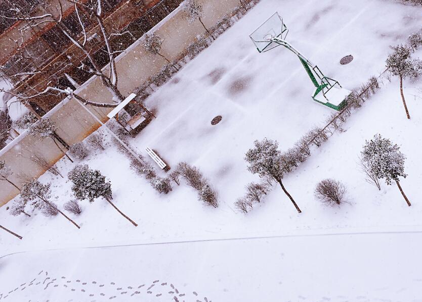 洛阳融科新校区雪景